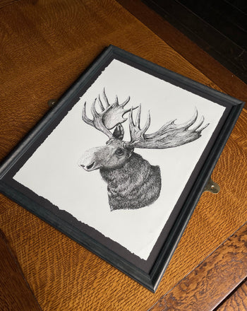 Moose Print - Limited Edition (unframed)