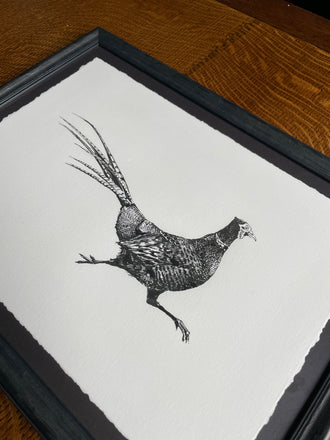 Pheasant Print - Limited Edition (unframed)
